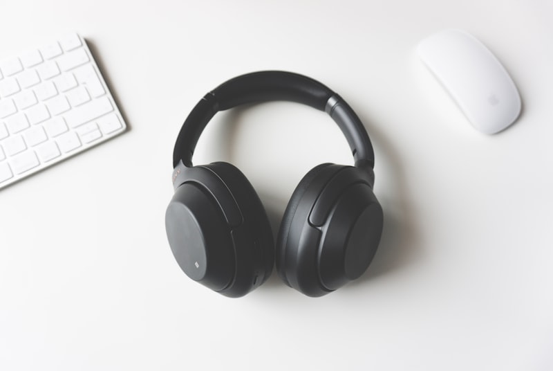 Sony MDR-ZX110 On-Ear Headphones (Black)